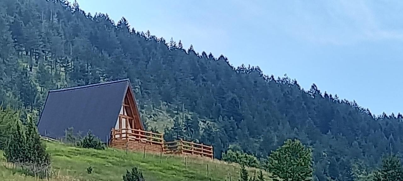 Monte Zen *