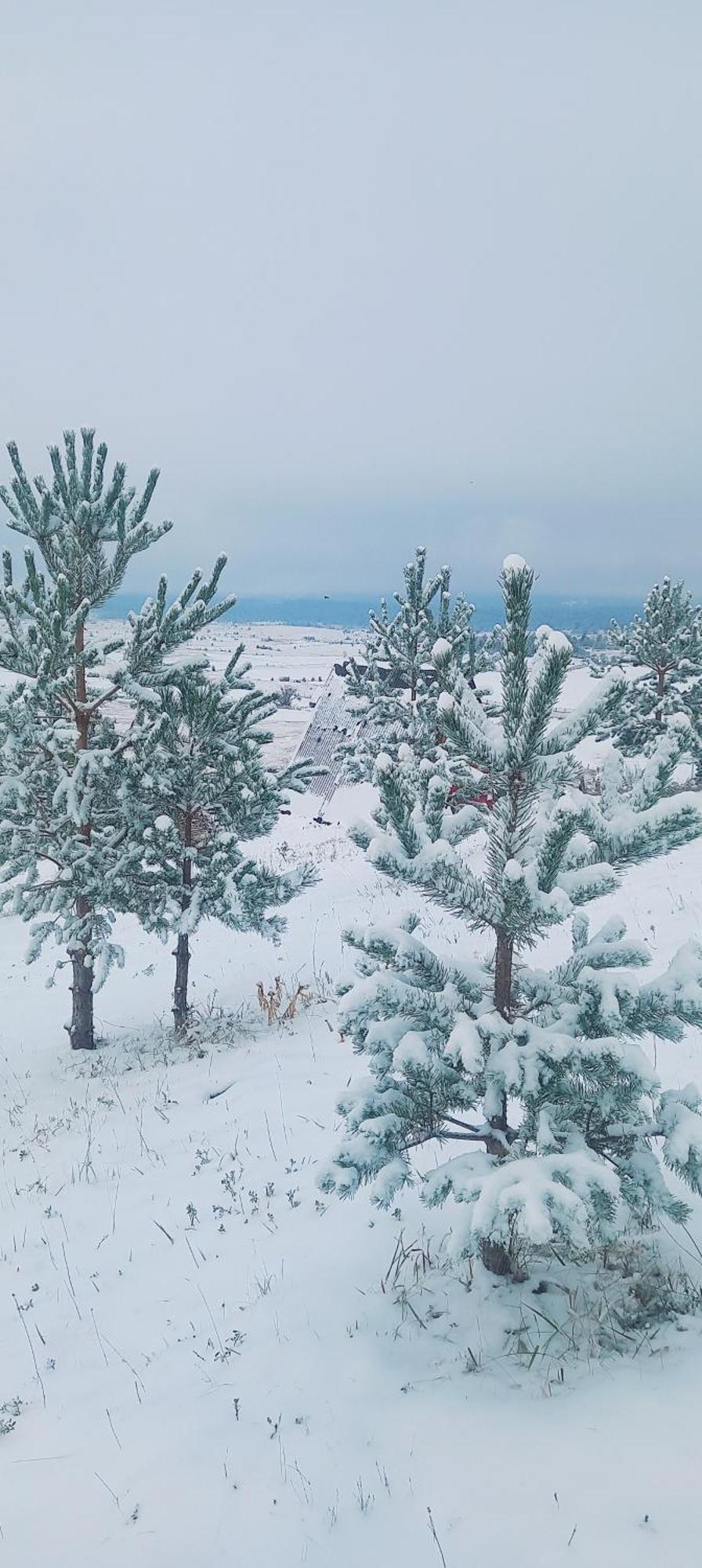 Monte Zen * Zabljak (Zabljak)